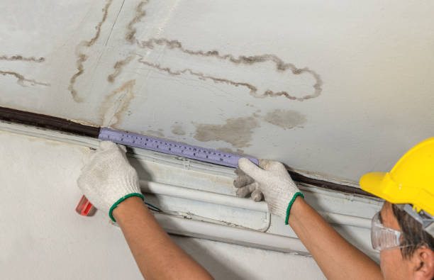 Reliable Mold Remediation contractor in Frisco, NC by Water Damage Irwin